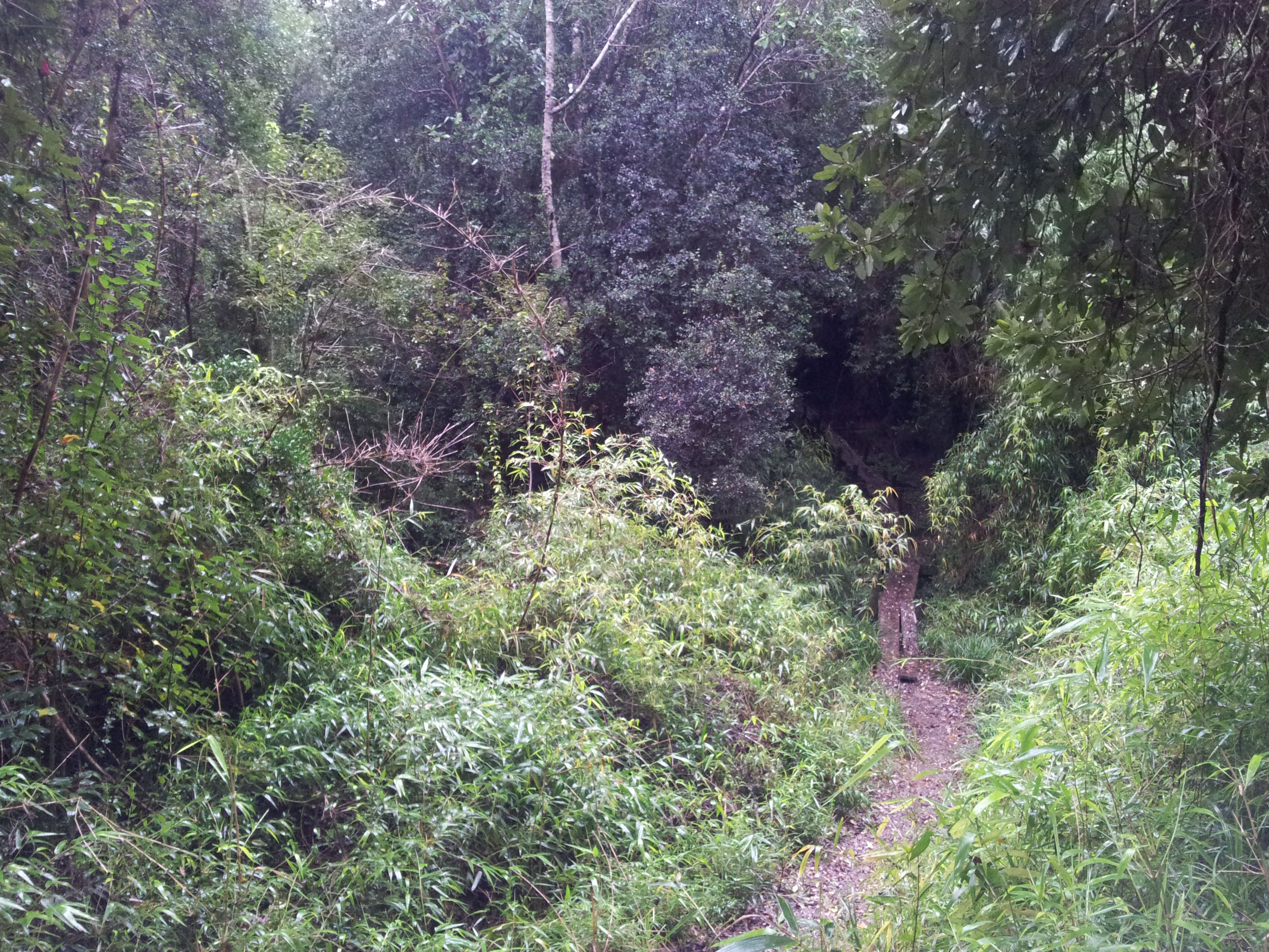 Conservacion