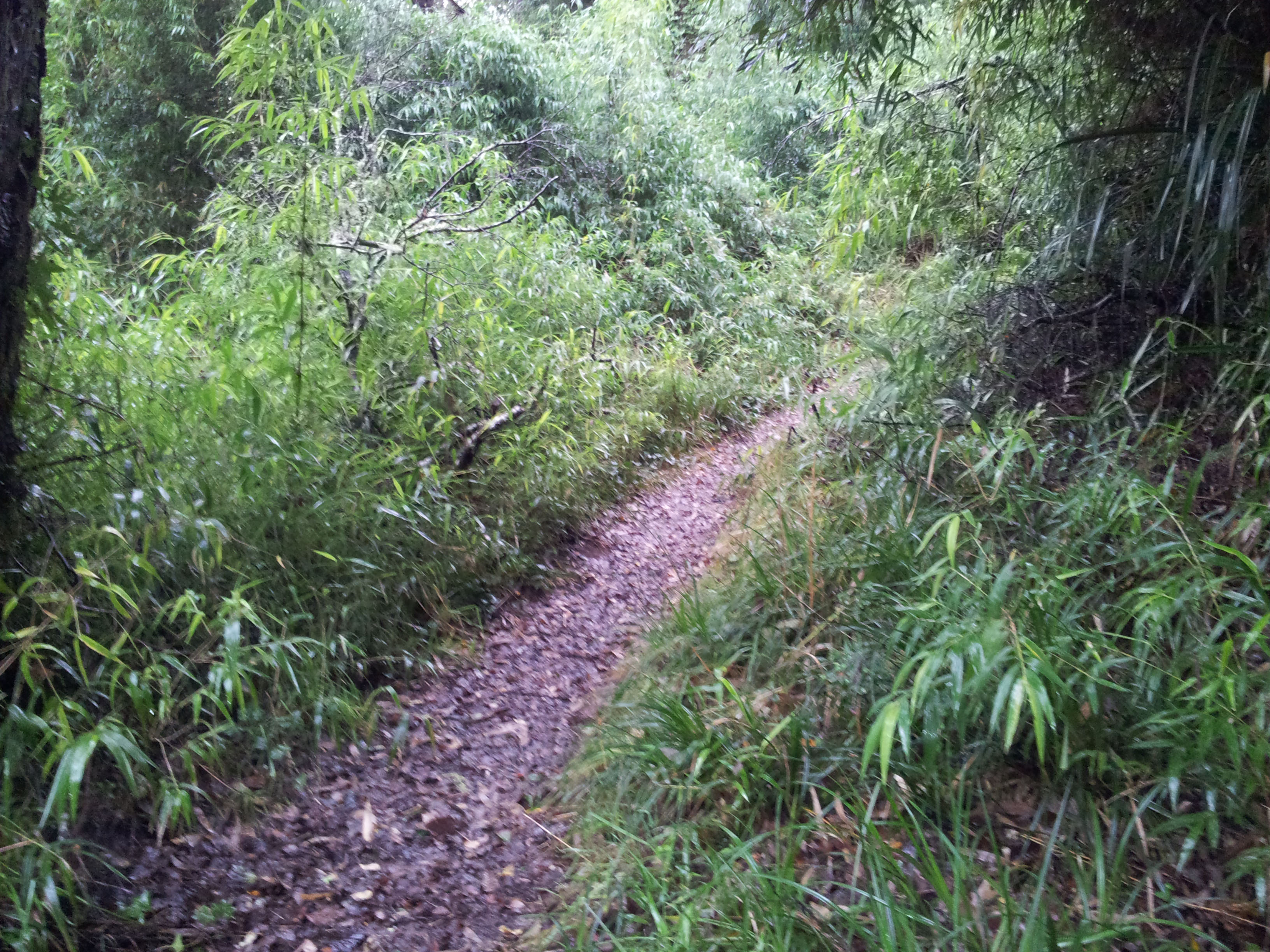 Conservacion